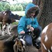 Anna Tiger Photo 11