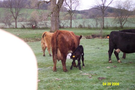 Christine Carroll Photo 29