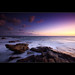 Dawn Quick Photo 12