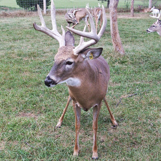 Mark Labonte Photo 3