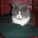 Flossie Foster Photo 6