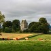 Nigel Tranter Photo 7