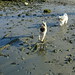 Margaret Riley Photo 32