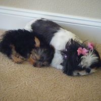 Cathy Warner Photo 8