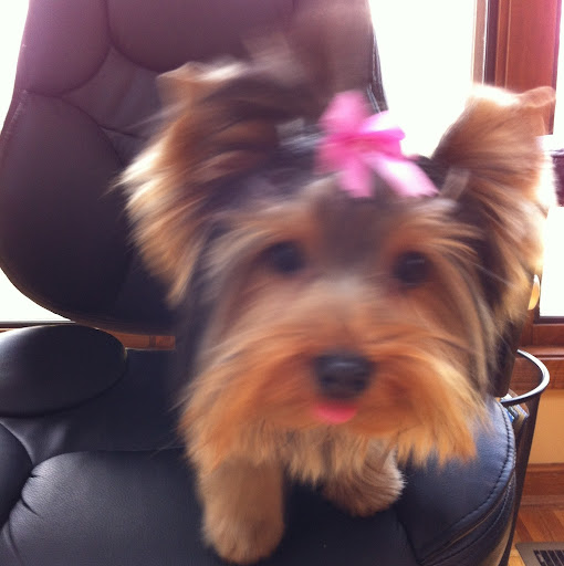 Shelley Wilson Photo 6