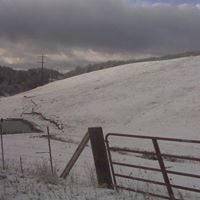 Ruthann Roberts Photo 19