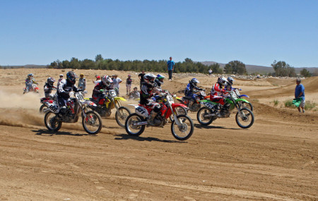 Marcia Summers Photo 13