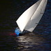 Stephen Bushey Photo 19