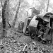 Eugene Wood Photo 44