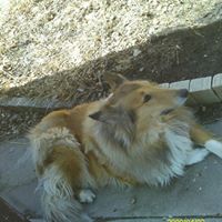 Mary Hite Photo 12