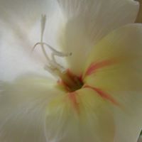 Diane Coady Photo 8