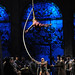 David Valenti Photo 13