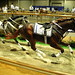 Cheryl Schmidt Photo 35