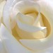 Colleen Masters Photo 9
