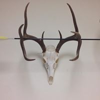 Jason Baugh Photo 18