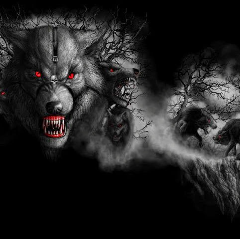 Eric Wolf Photo 23