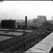 Edward Hines Photo 16