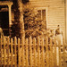Malinda Miller Photo 23