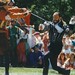 Ray Hoffman Photo 26
