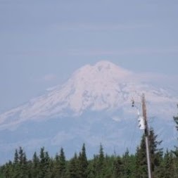 Linda Stroud Photo 31