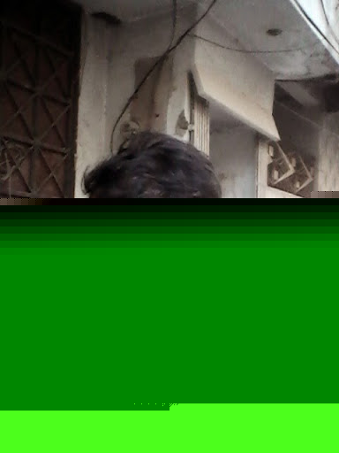 Muhammad Saqib Photo 30