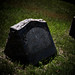 John Foote Photo 19