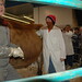 Terri Garner Photo 12