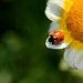 Sharad Gupta Photo 27