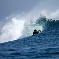 Max Fry Photo 15