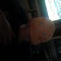 Shawn Forbes Photo 21