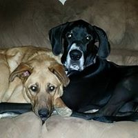 Jill Reeder Photo 24
