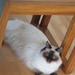 Janice Rogers Photo 30