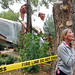 Donna Calvert Photo 29