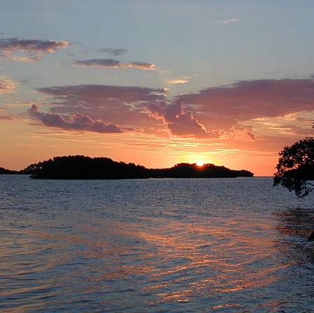 Judy Hartley Photo 10