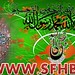 Syed Hussain Photo 53