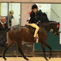 Karen Stanley Photo 22