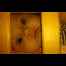 Amy Grove Photo 38