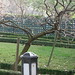 Cynthia Akin Photo 13
