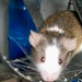 Jerry Weeks Photo 25