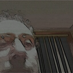 Russell Webster Photo 17