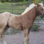 Robin Haire Photo 6