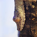 Louis Kirby Photo 8