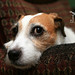 Gary Russell Photo 9