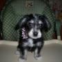 Debra Lester Photo 20