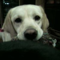 Judy Hogue Photo 14
