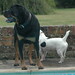 Ethel Jackson Photo 9