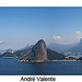 Andre Forte Photo 13