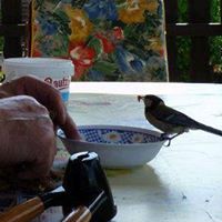 Sandy Bartz Photo 6