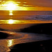 Dawn Hawkes Photo 4