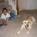 Henry Best Photo 9